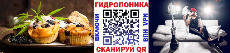 mega зеркало  Северская  Canna-Cookies конопля 
