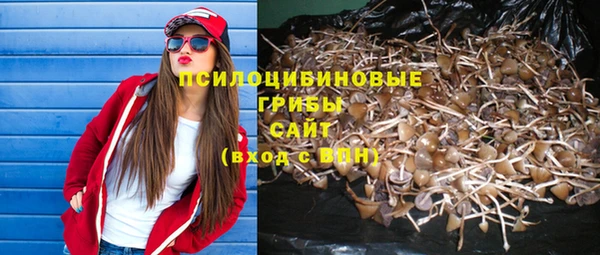 mdpv Бугульма