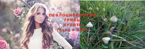 прущие крисы Бронницы